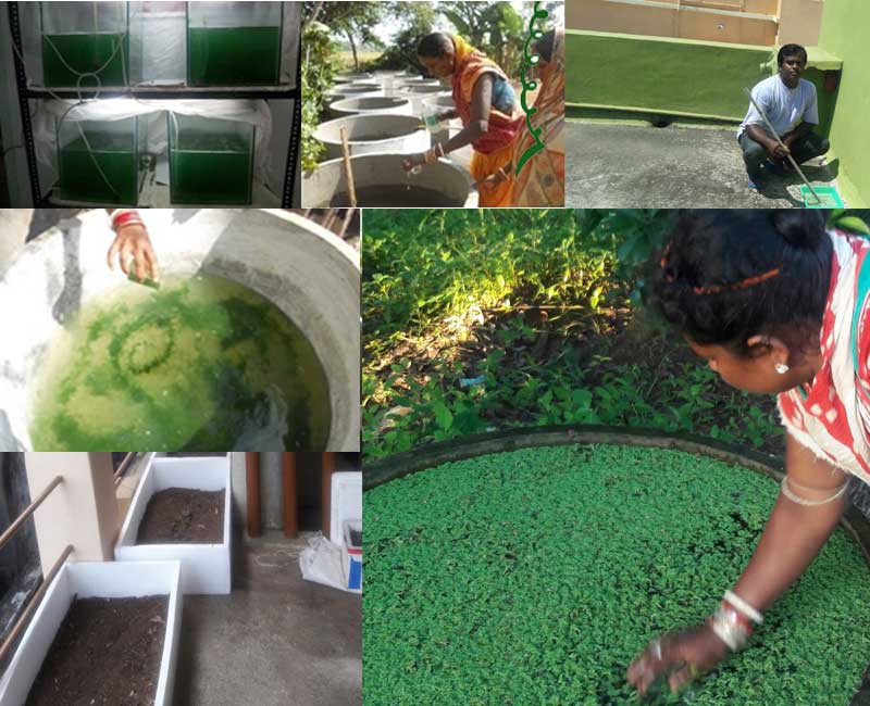 Sevas Centre for Sustainable Rural Technologies
